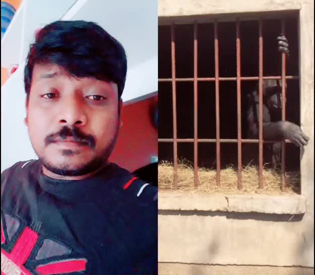 @Srikanth Yadav