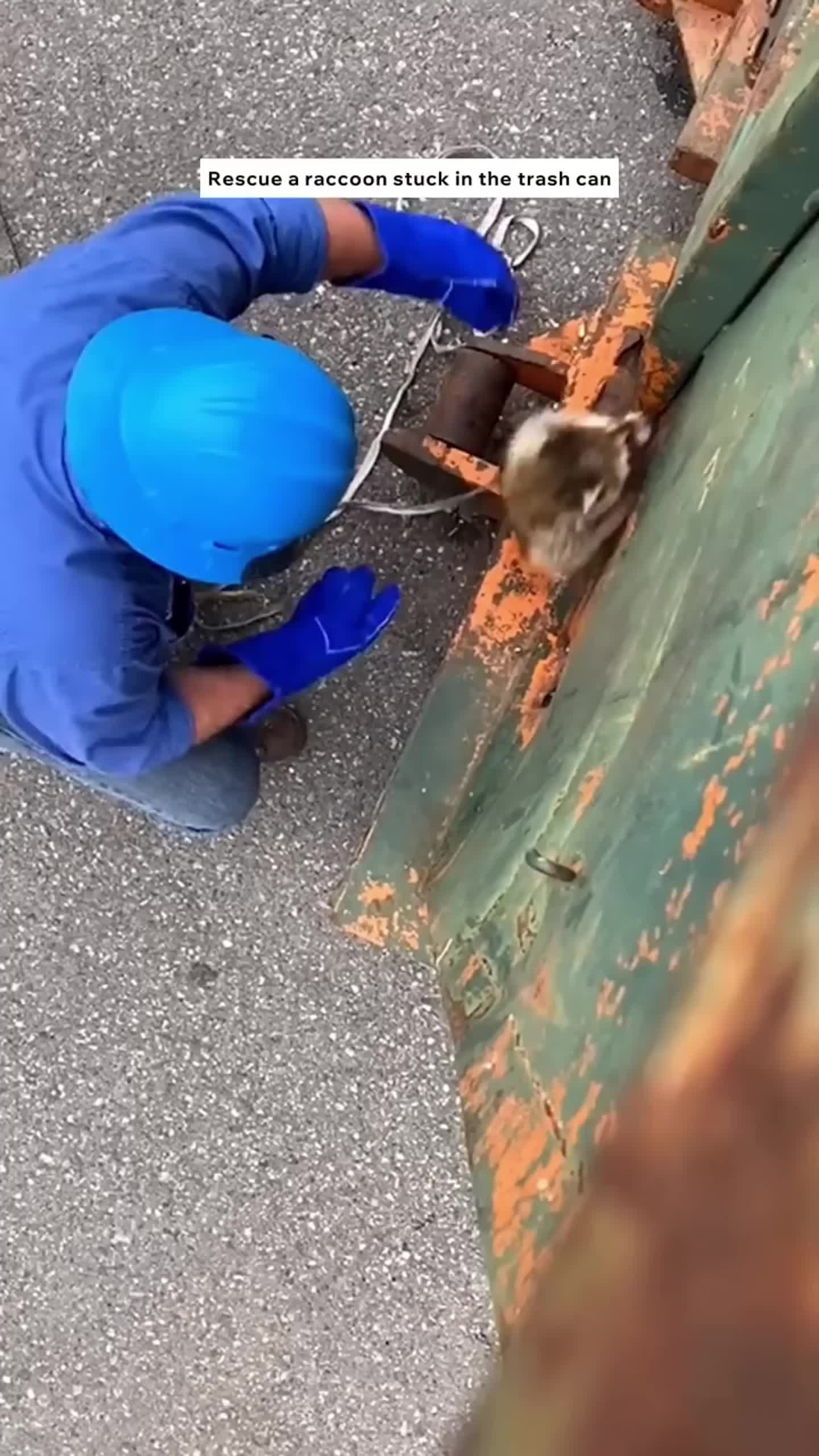 @Dynamic_rescue