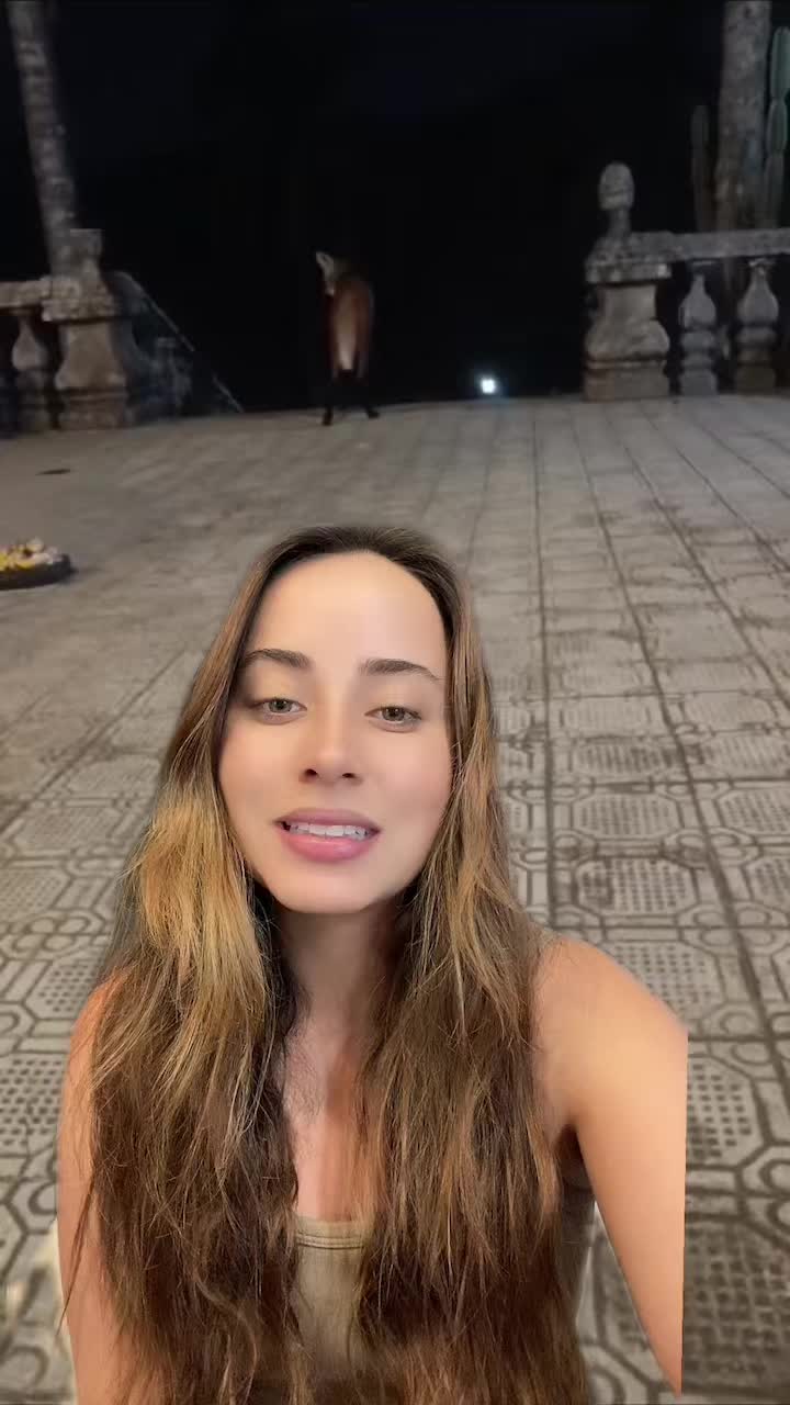 @manumacedof