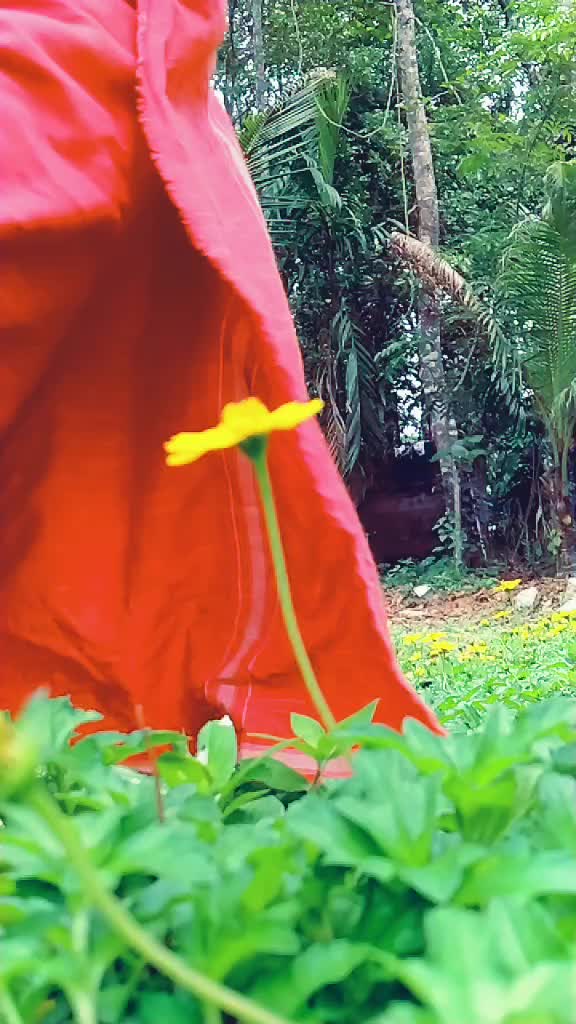 @Sudheesh Elamannoor