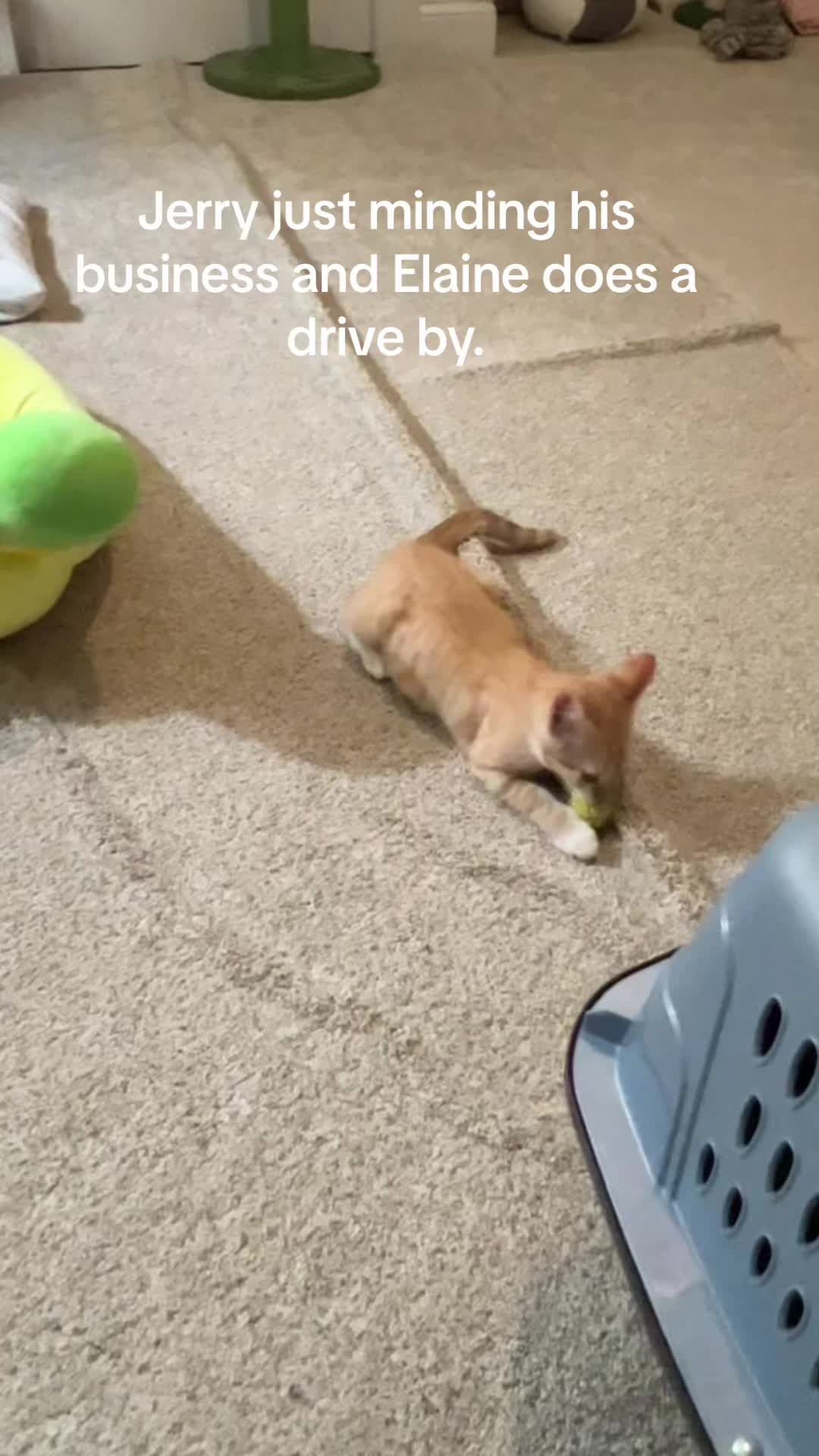@WhatTheActualKaren