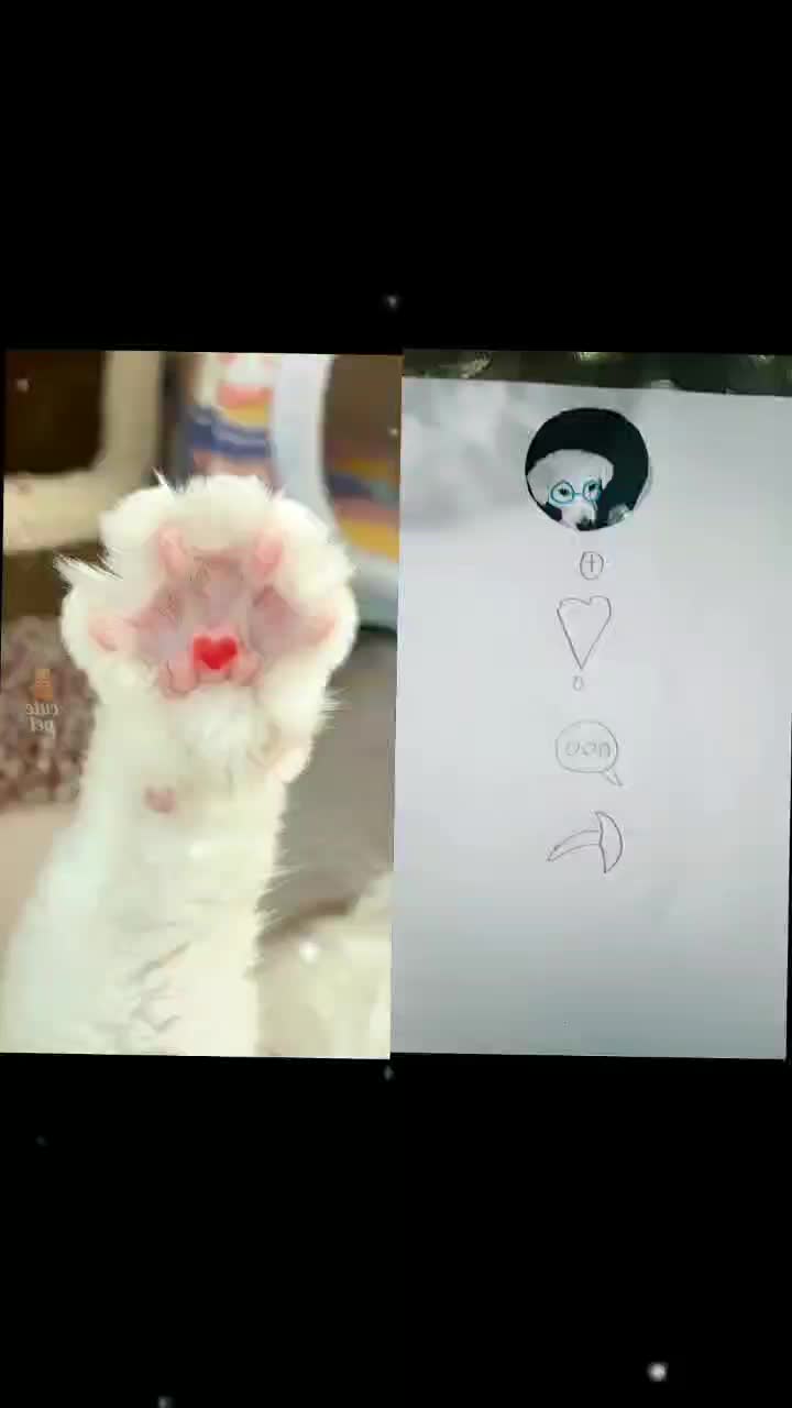 @MAX354655