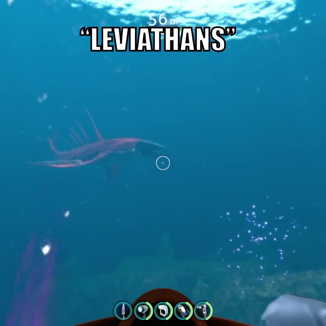 @man