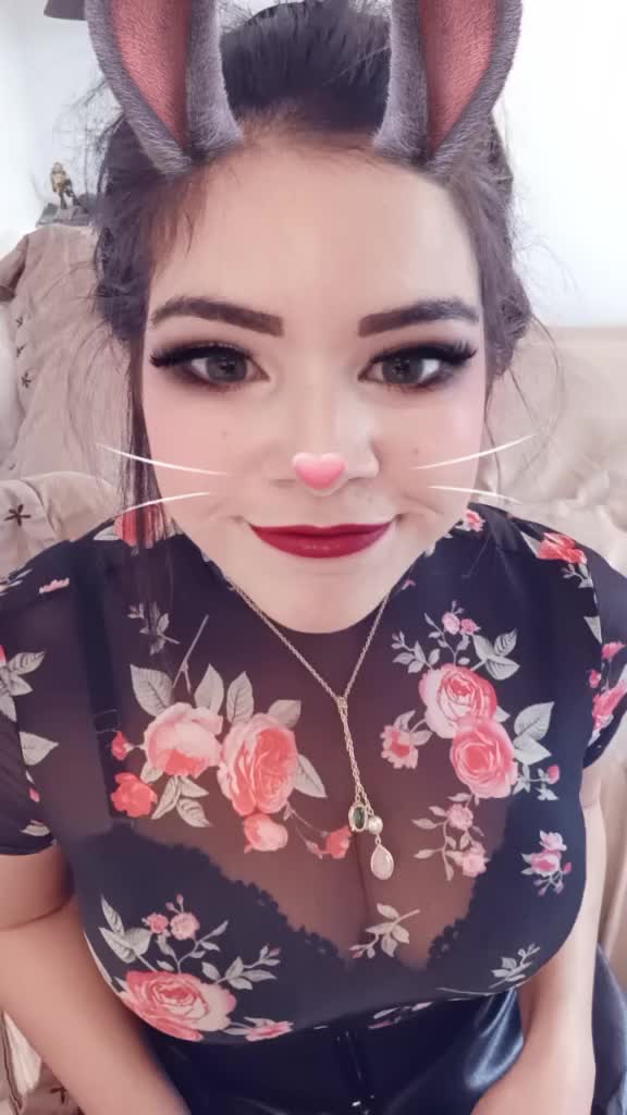 @Lapini 🐰