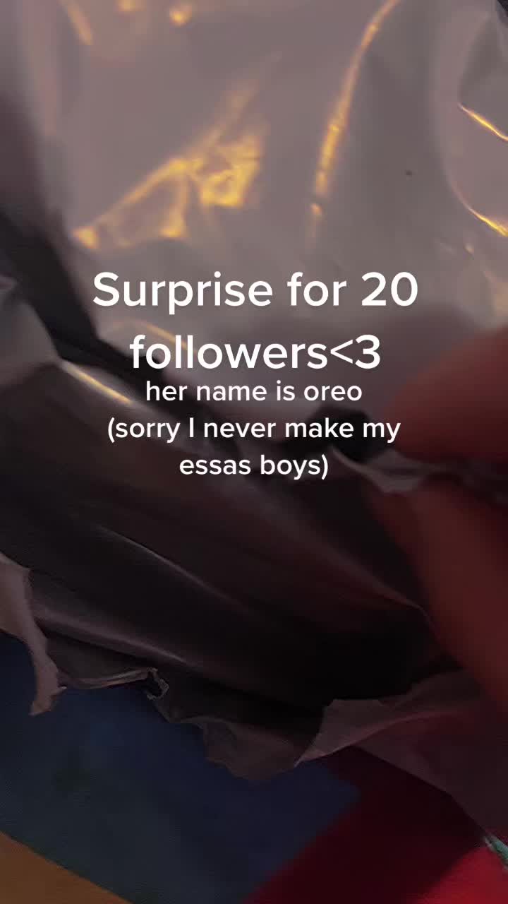 @⠀&ensp;⠀&ensp;⠀&ensp;⠀&ensp;⠀&ensp;⠀