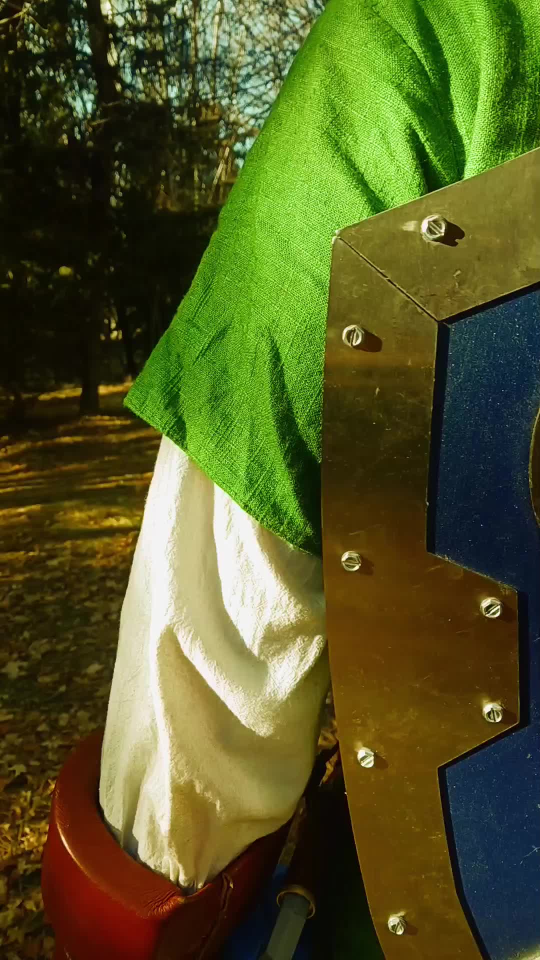 @Hero_of_Thyme