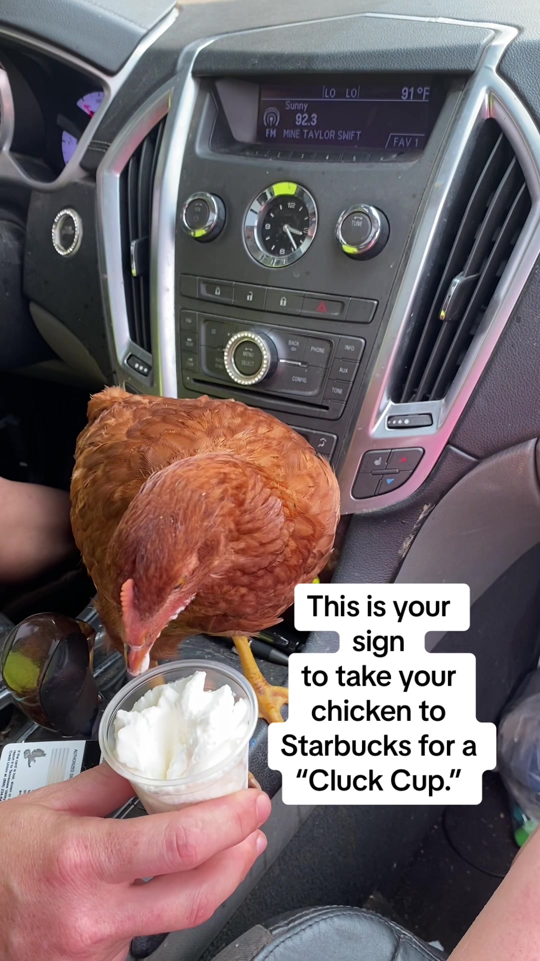 @𝔽𝕖𝕝𝕚𝕔𝕚𝕒 𝕋𝕒𝕪𝕝𝕠𝕣