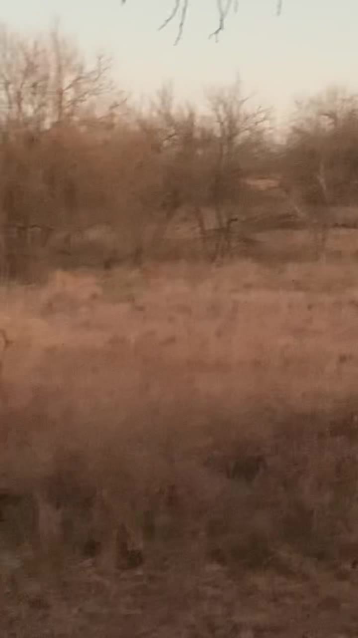@IsaacRoullett