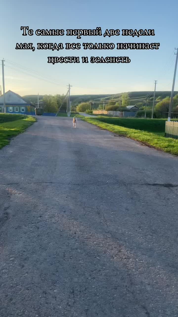 @Анжелика