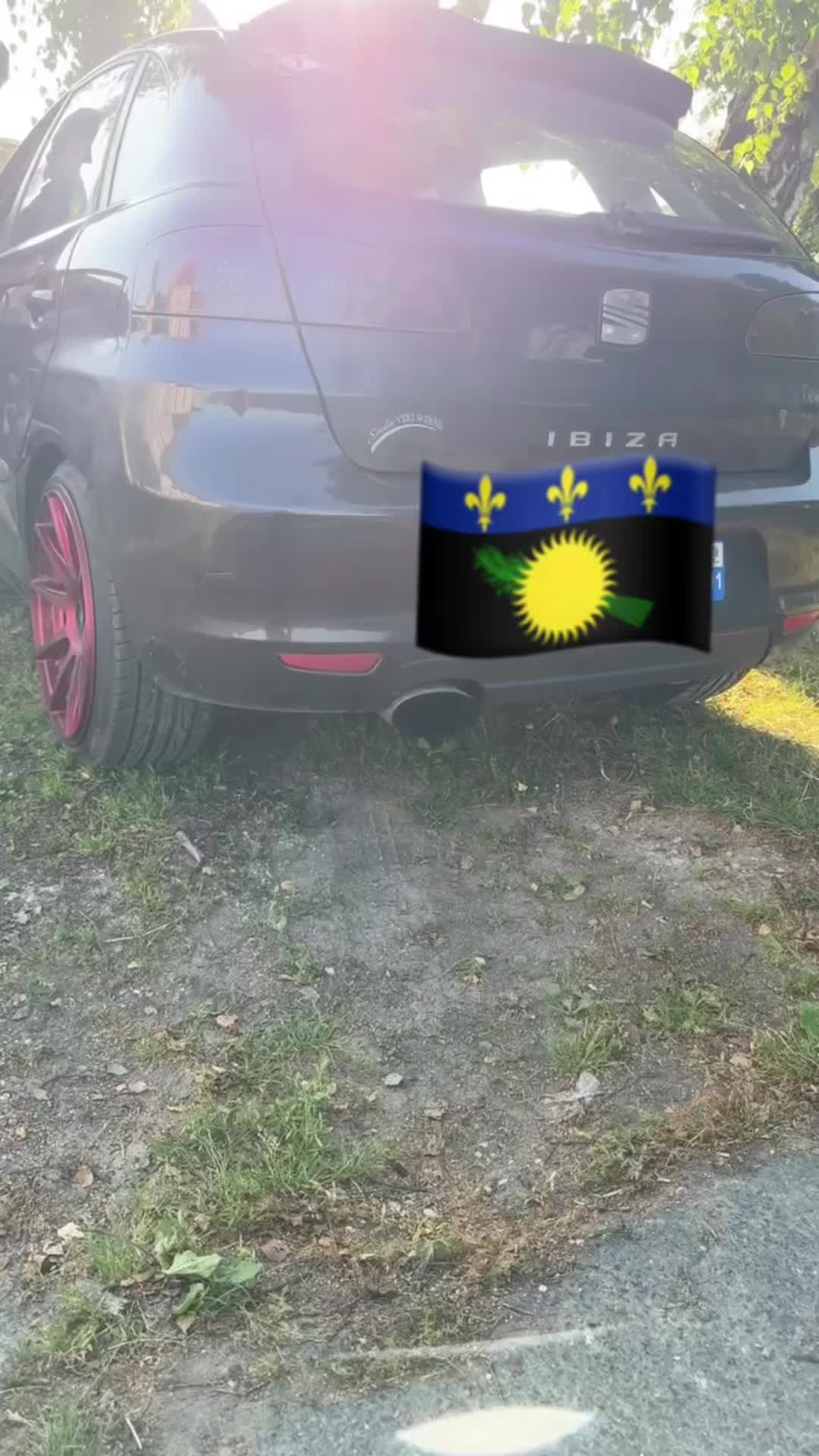 @Gwada&agrave;Ibiza6L