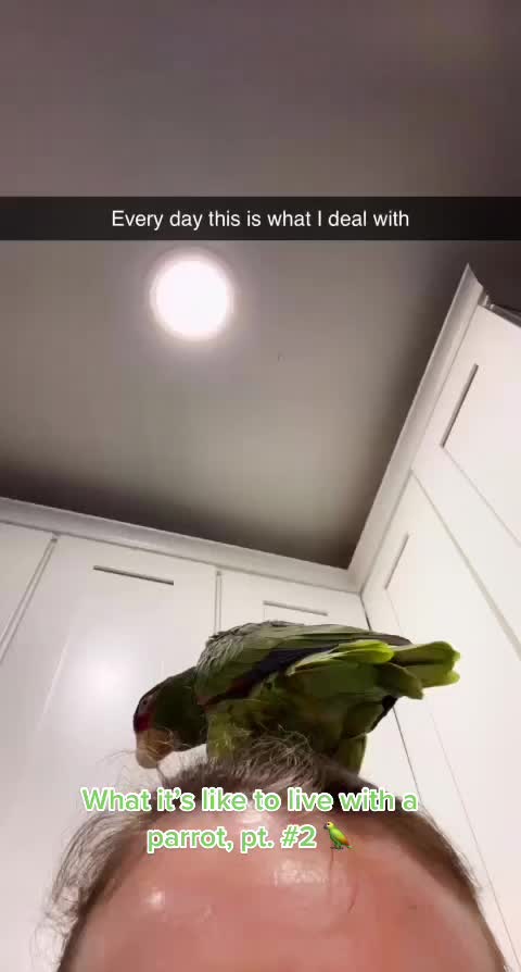 @Peeps