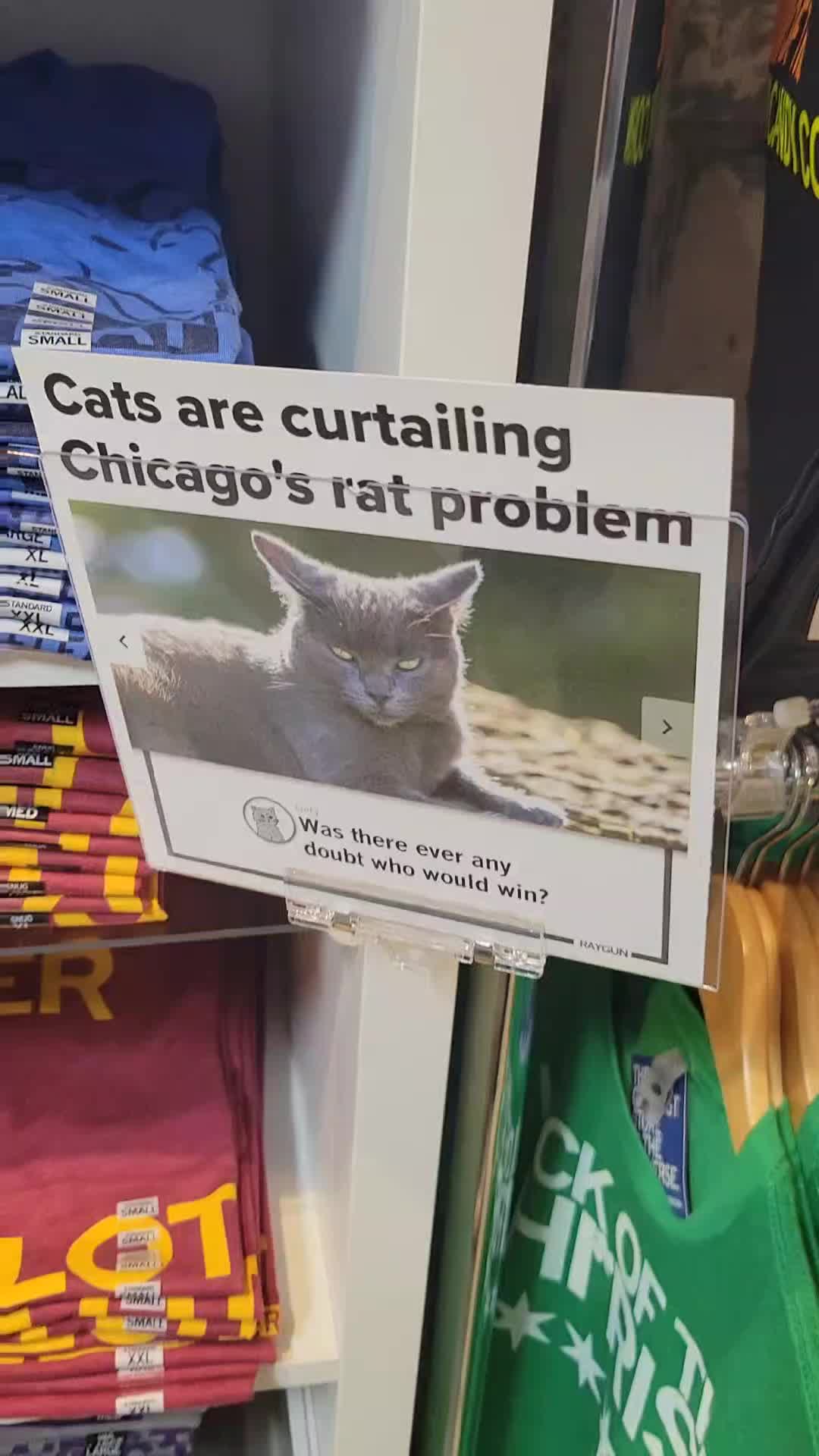 @kitty smith