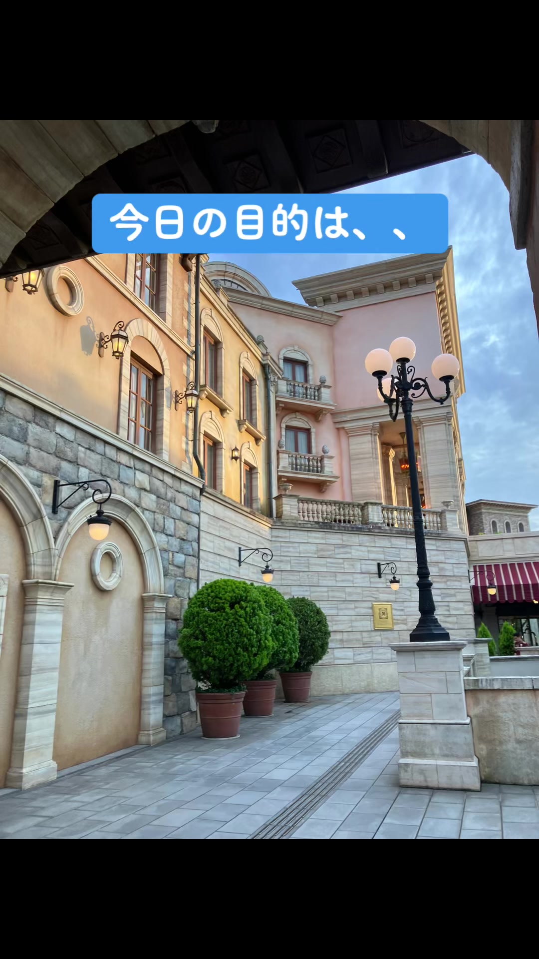 @Sheeply代表かける