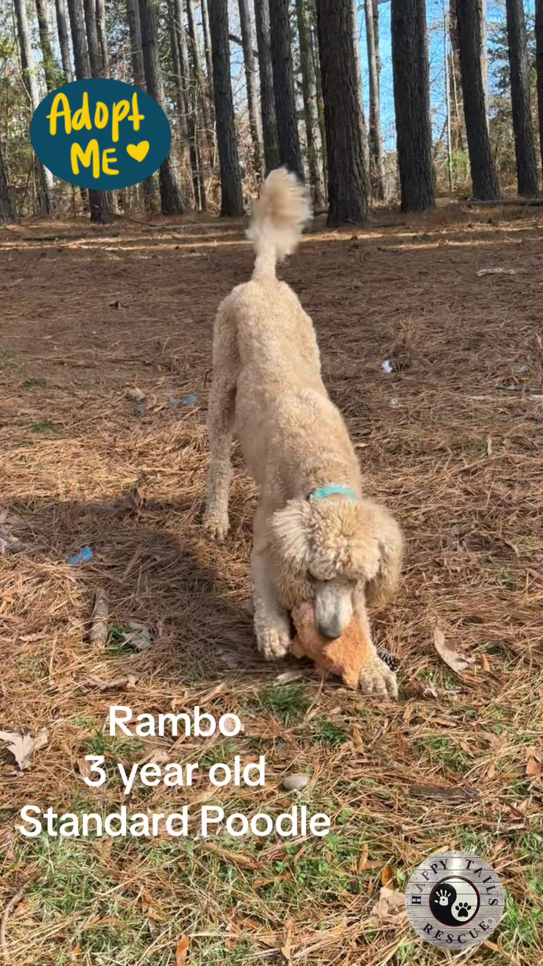 @Happy Tails Rescue, Inc.