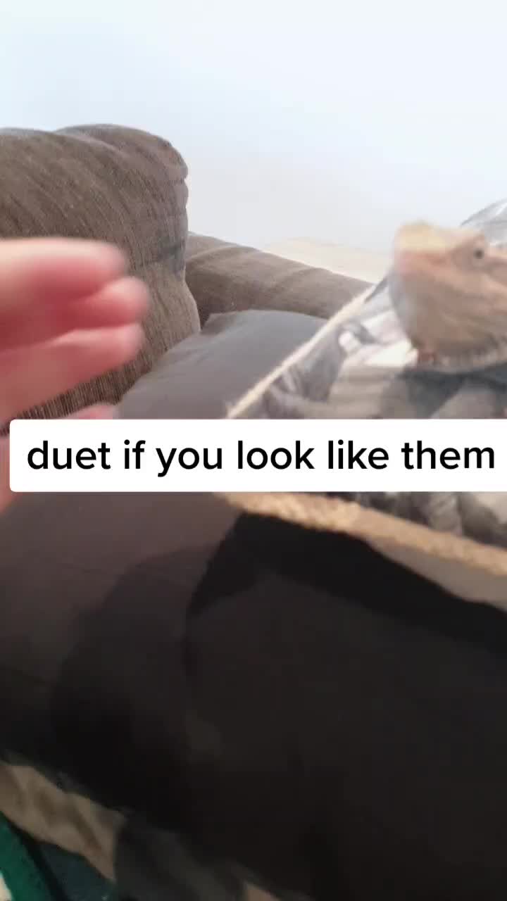 @Duet if you look like them