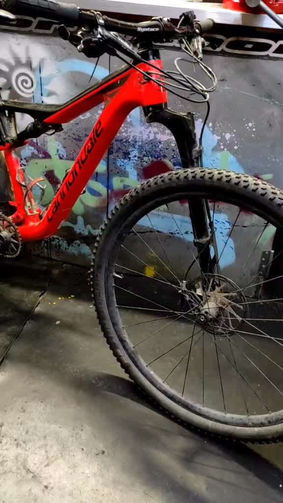 @BikeTripSPB