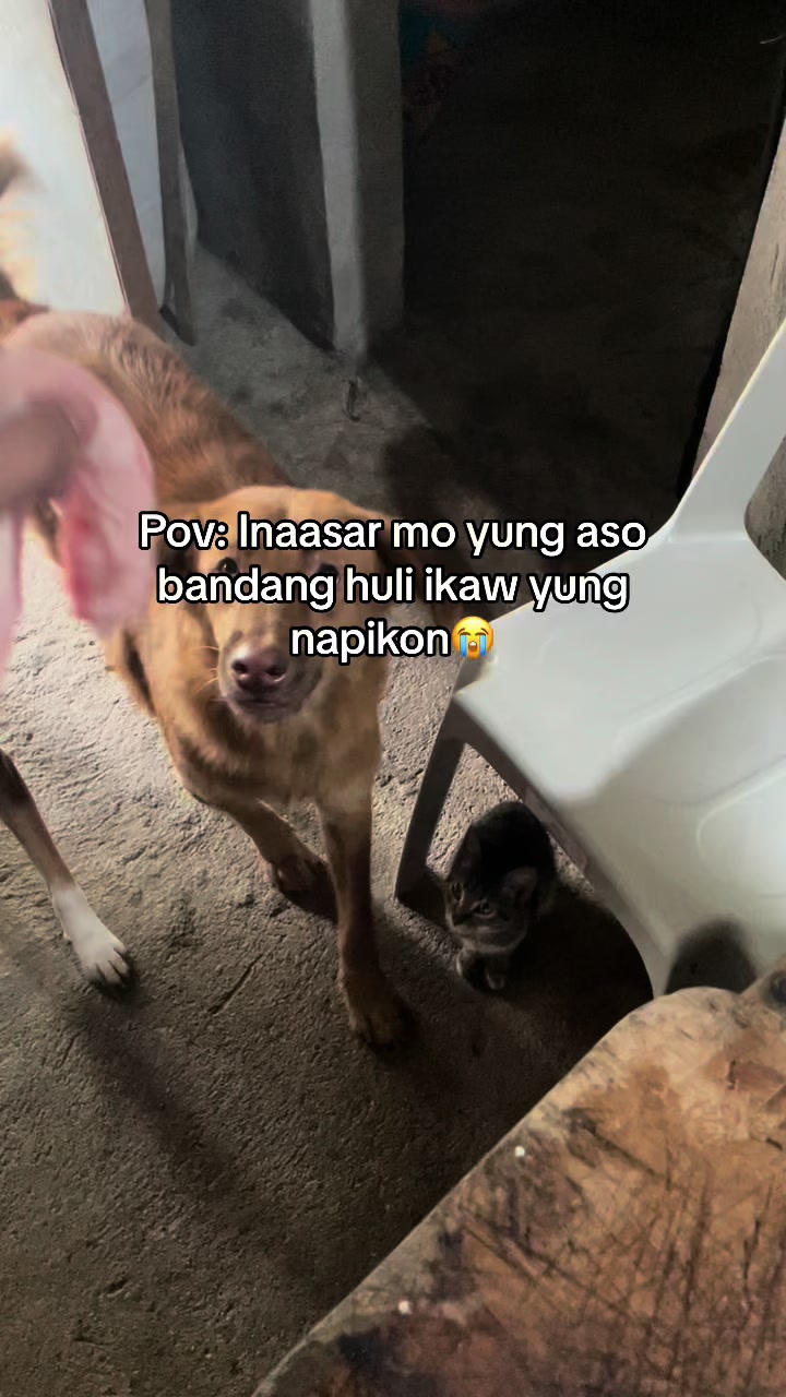 @Peejay🇦🇪🇵🇭