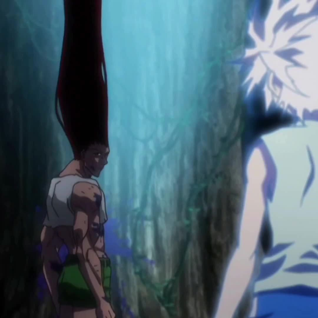 @HunterxHunterIsLive