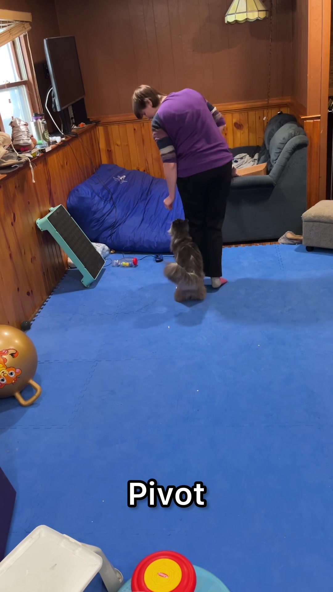 @Laura Waudby - Dog Sports