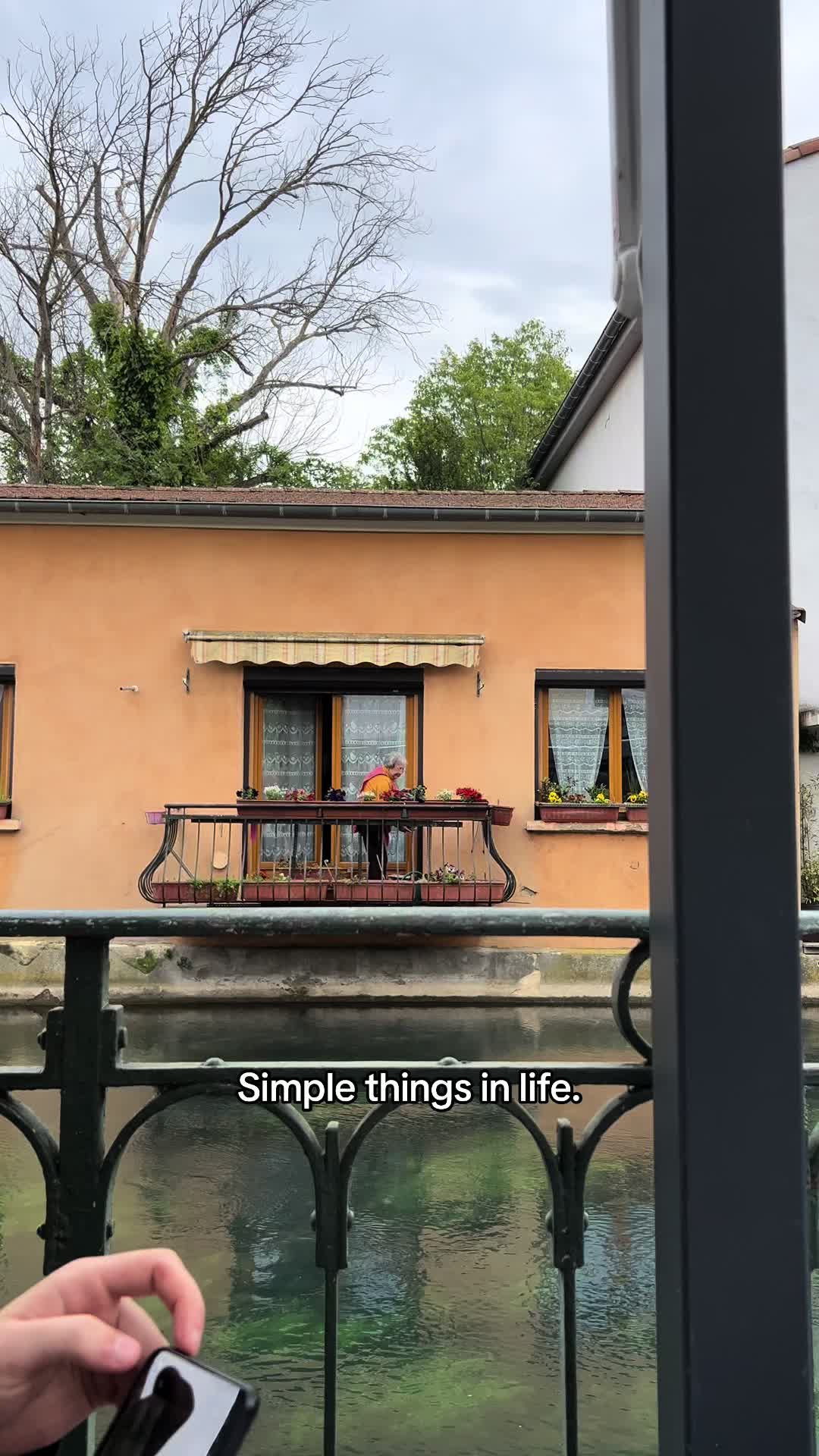 @Taiga