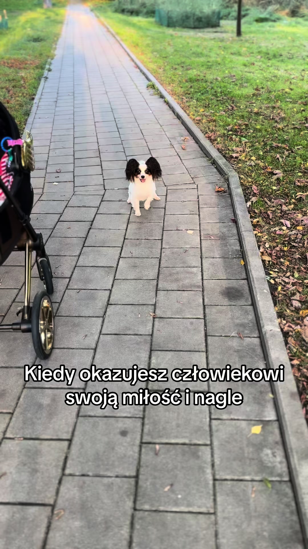 @Martyś 🥳