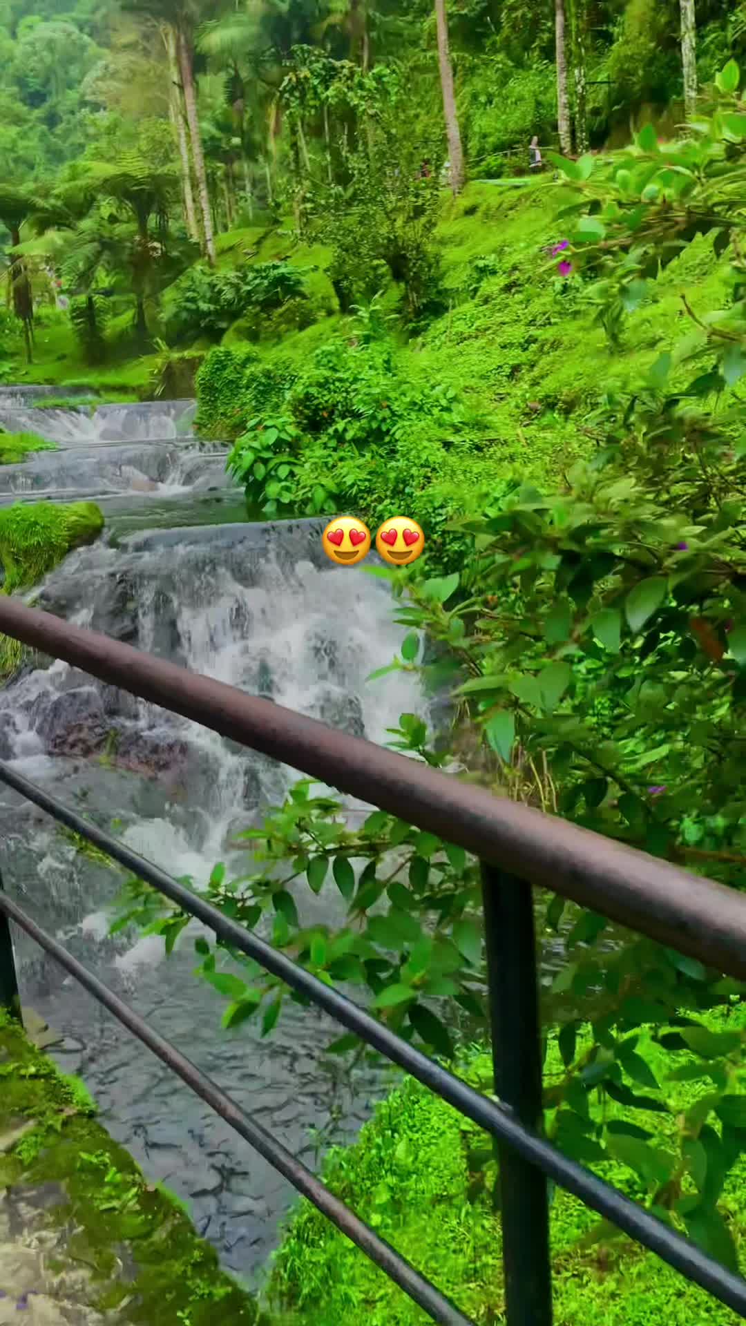 @María 🌼