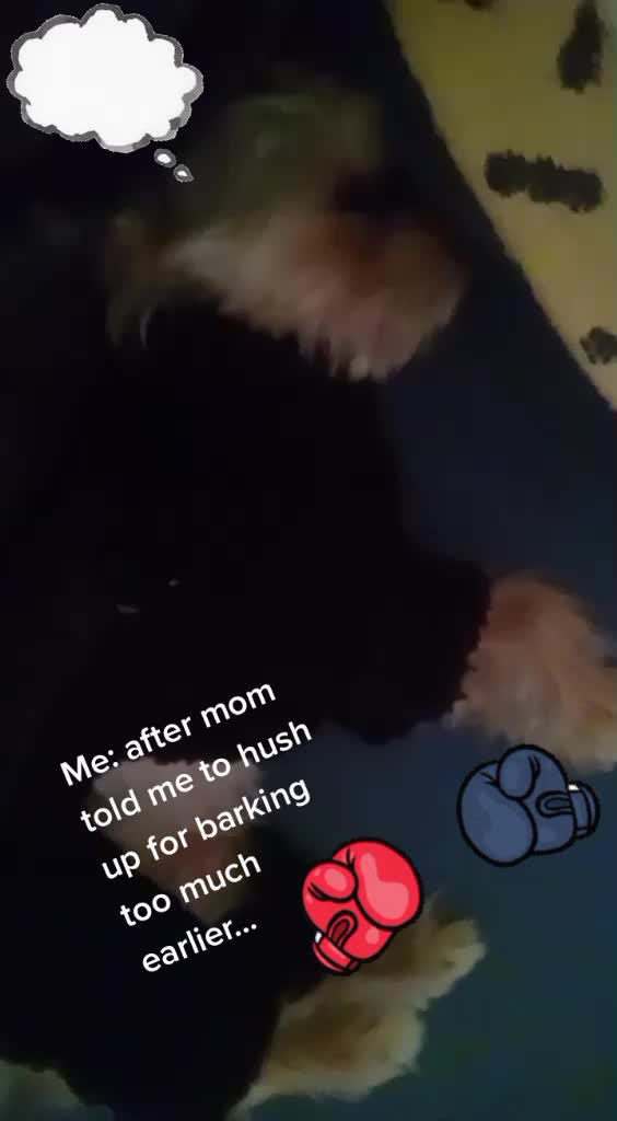 @CornChip
