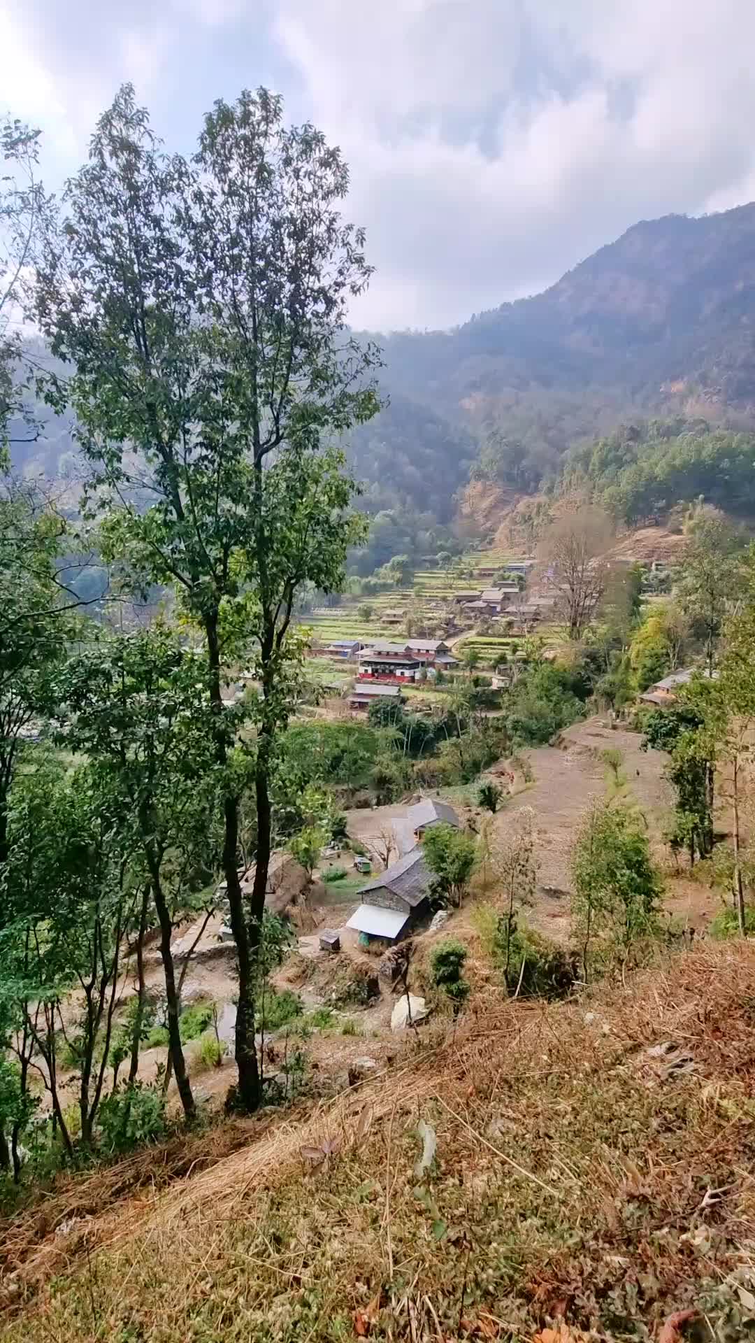 @Anilonly4u