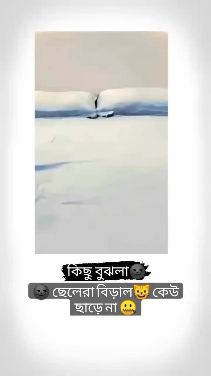 @โก>>๐จ๐๐๐๐>>๐ท