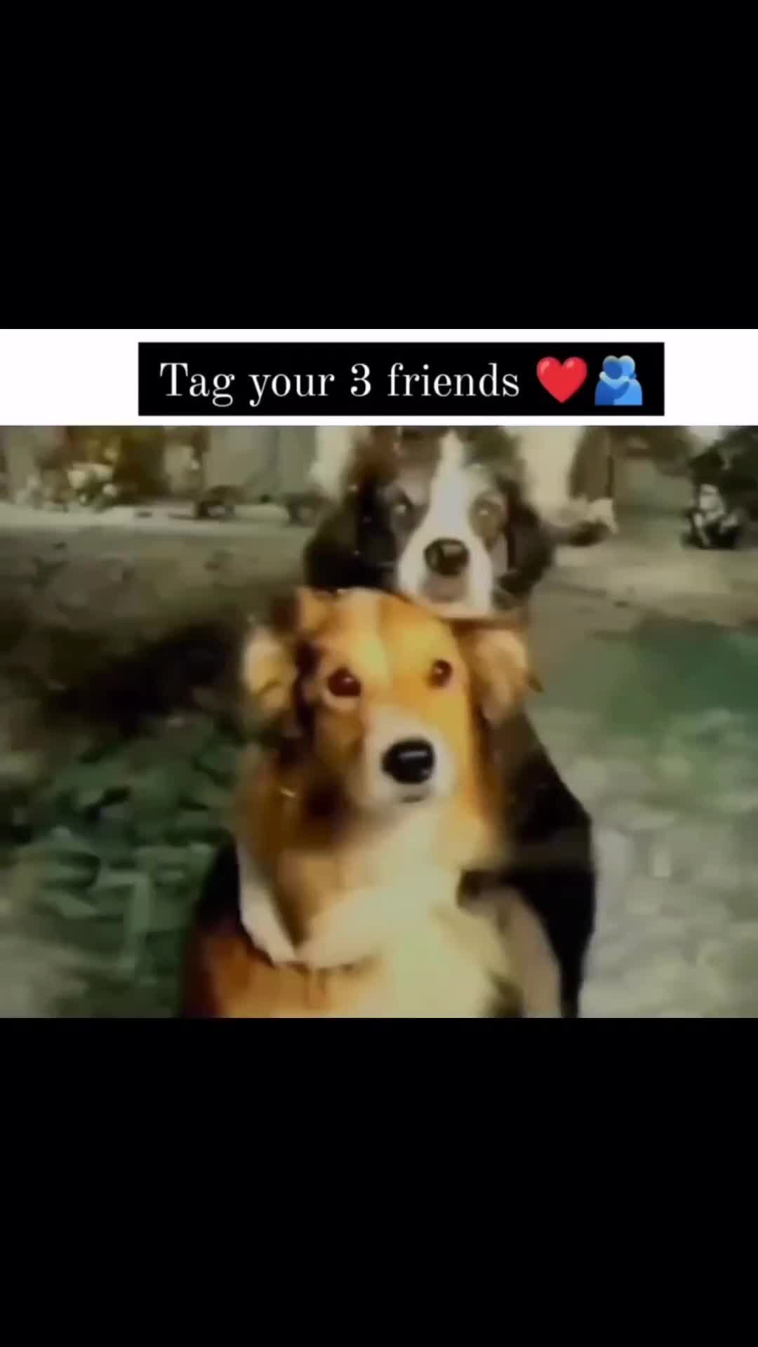 @Sʜᴀʜᴍʏ__7🥤