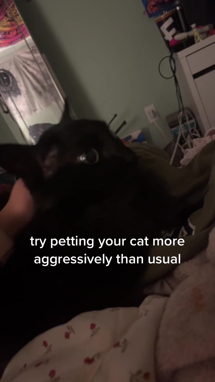 @jaeger