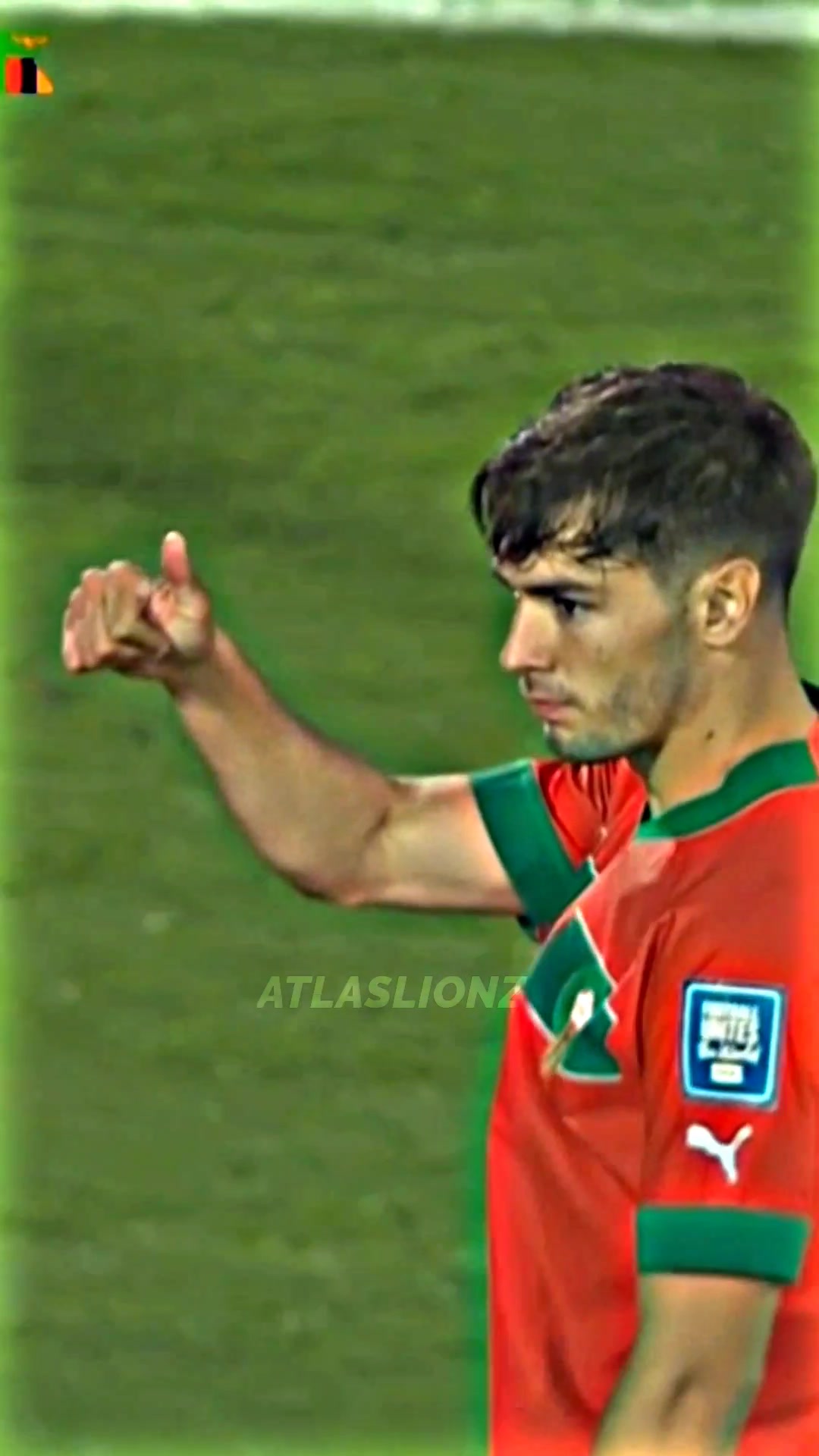 @اسود الاطلس | Atlaslions