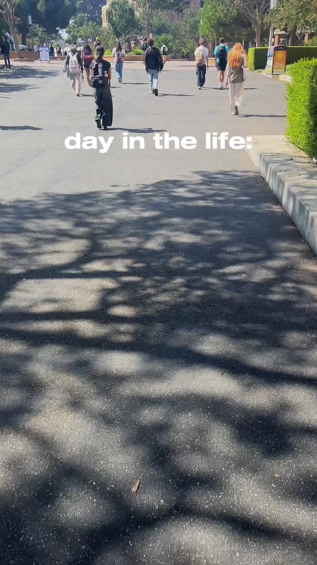 @dana ☆