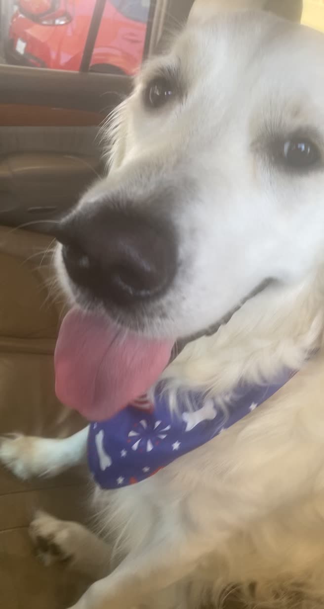 @pierredawg
