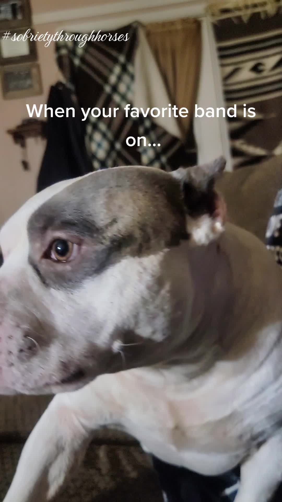 @Odin