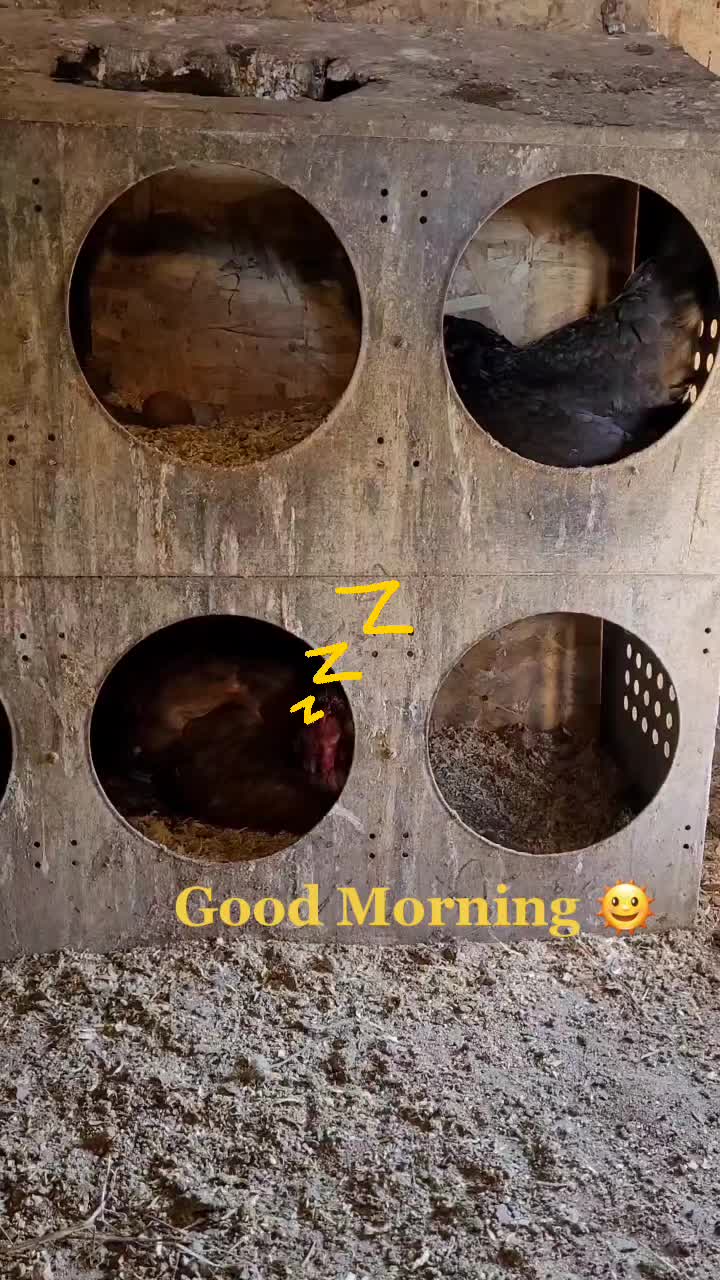 @4SFarms
