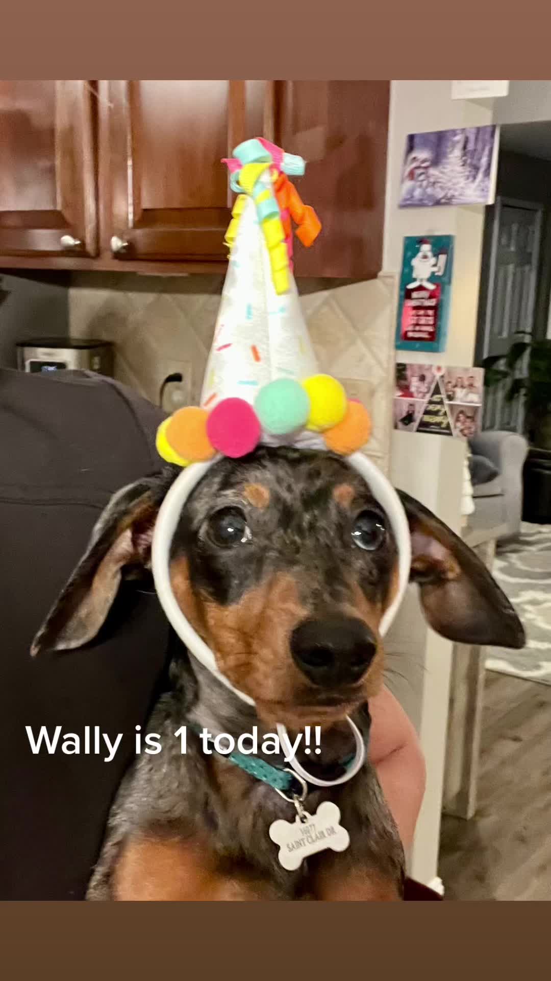 @Wally’s Mom Kelly