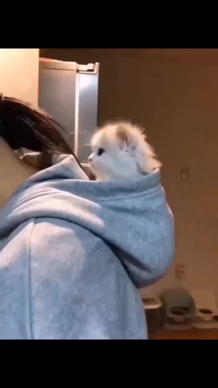 @설