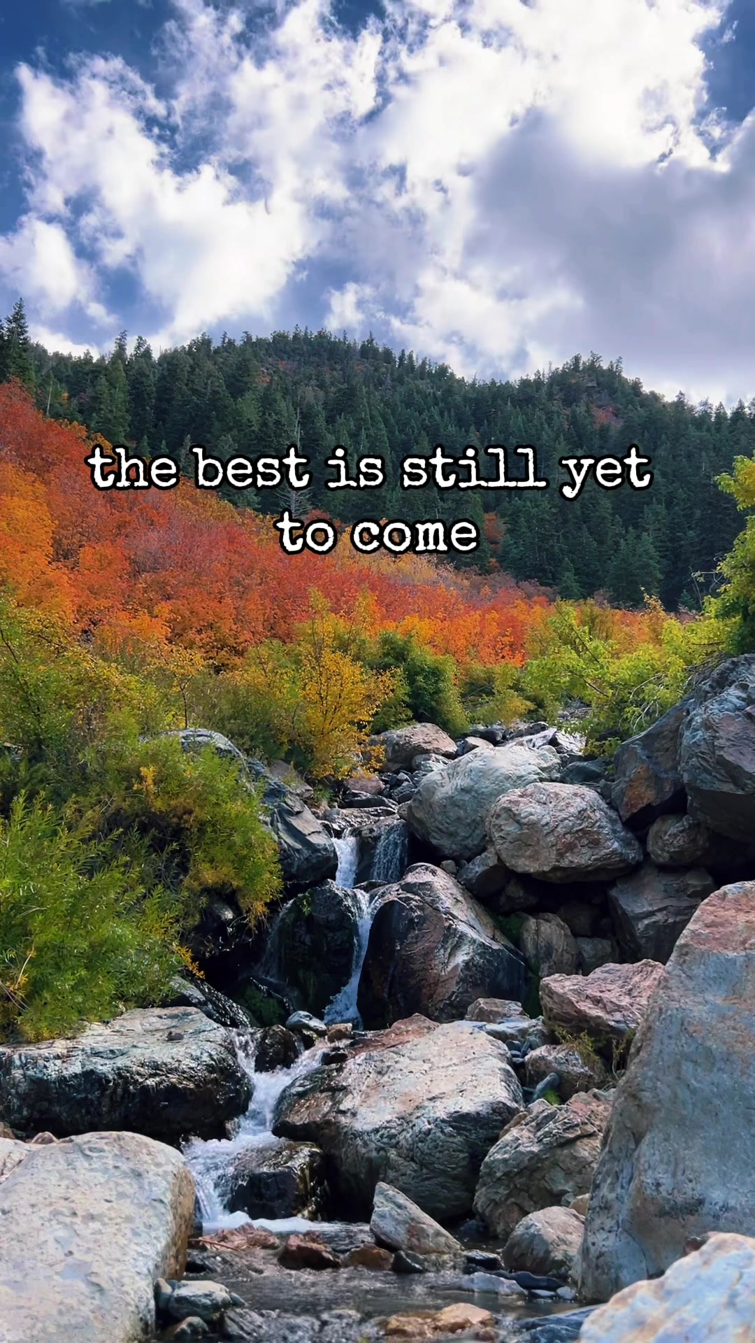@Copper State Ginger