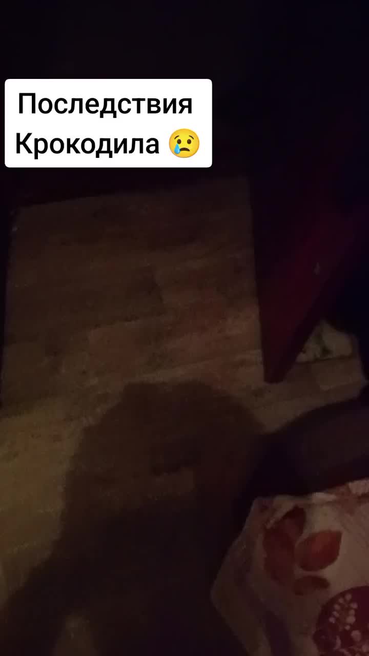 @Myltik