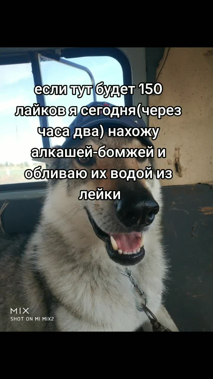 @Юный альфавод🏍️