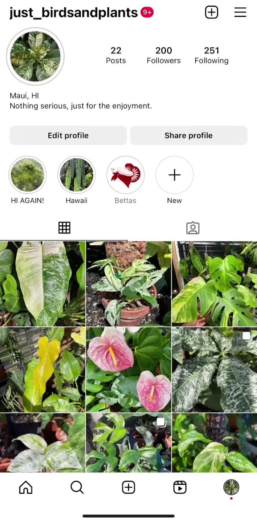 @Just_fishandplants