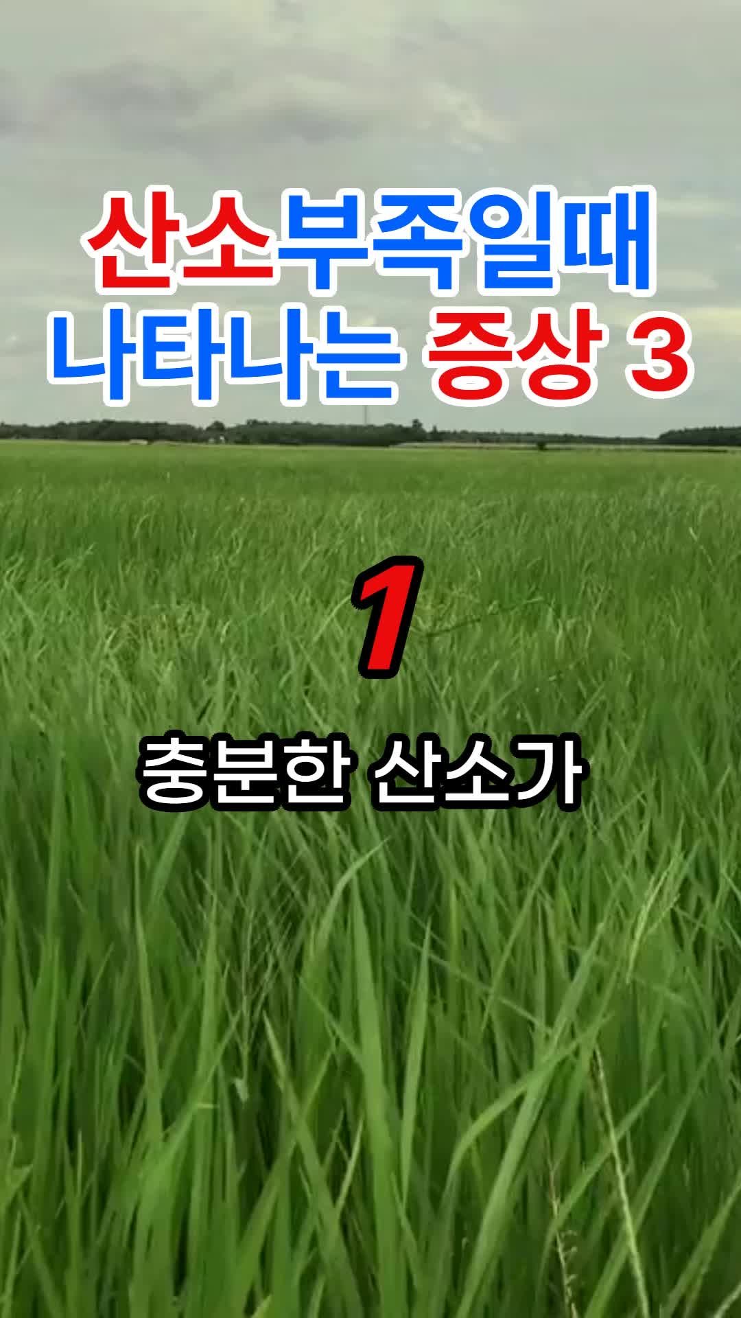 @건강한 산책