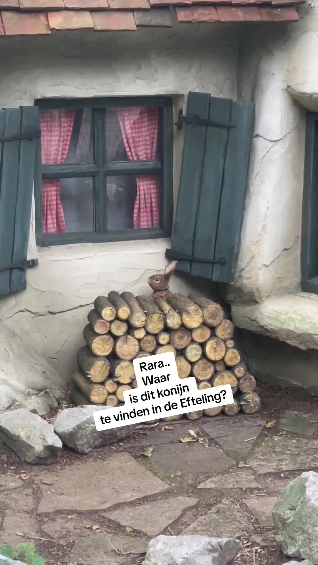@Veveke 🇧🇪
