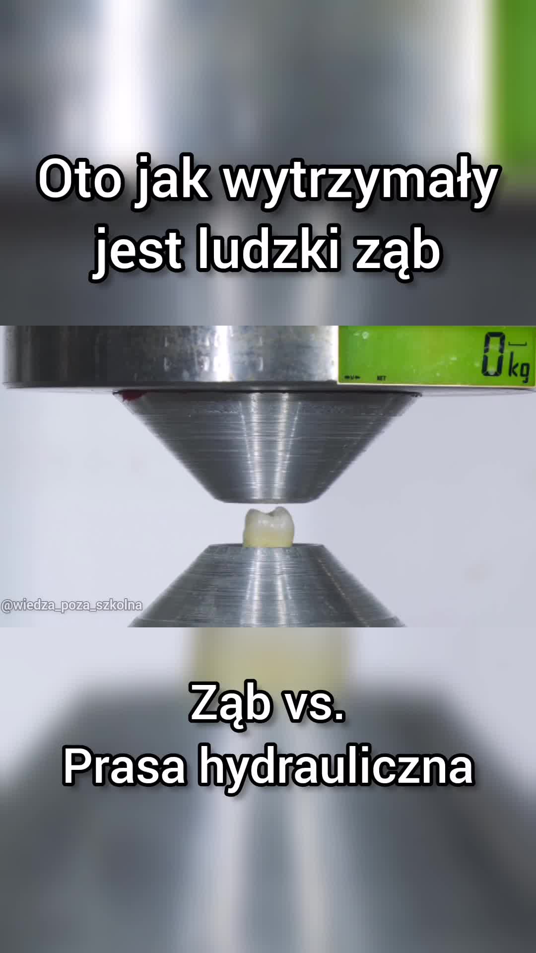 @Wiedza_poza_szkolna