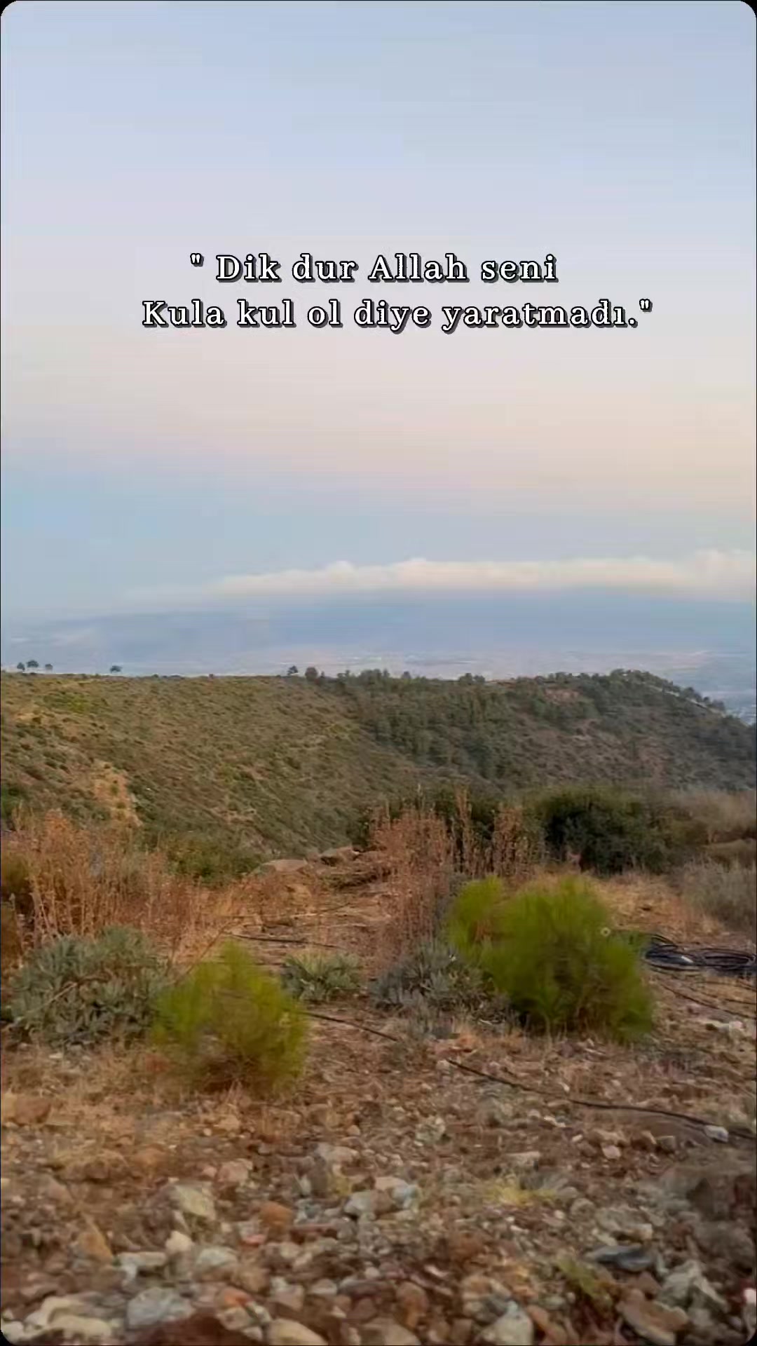 @Özgür Olğar