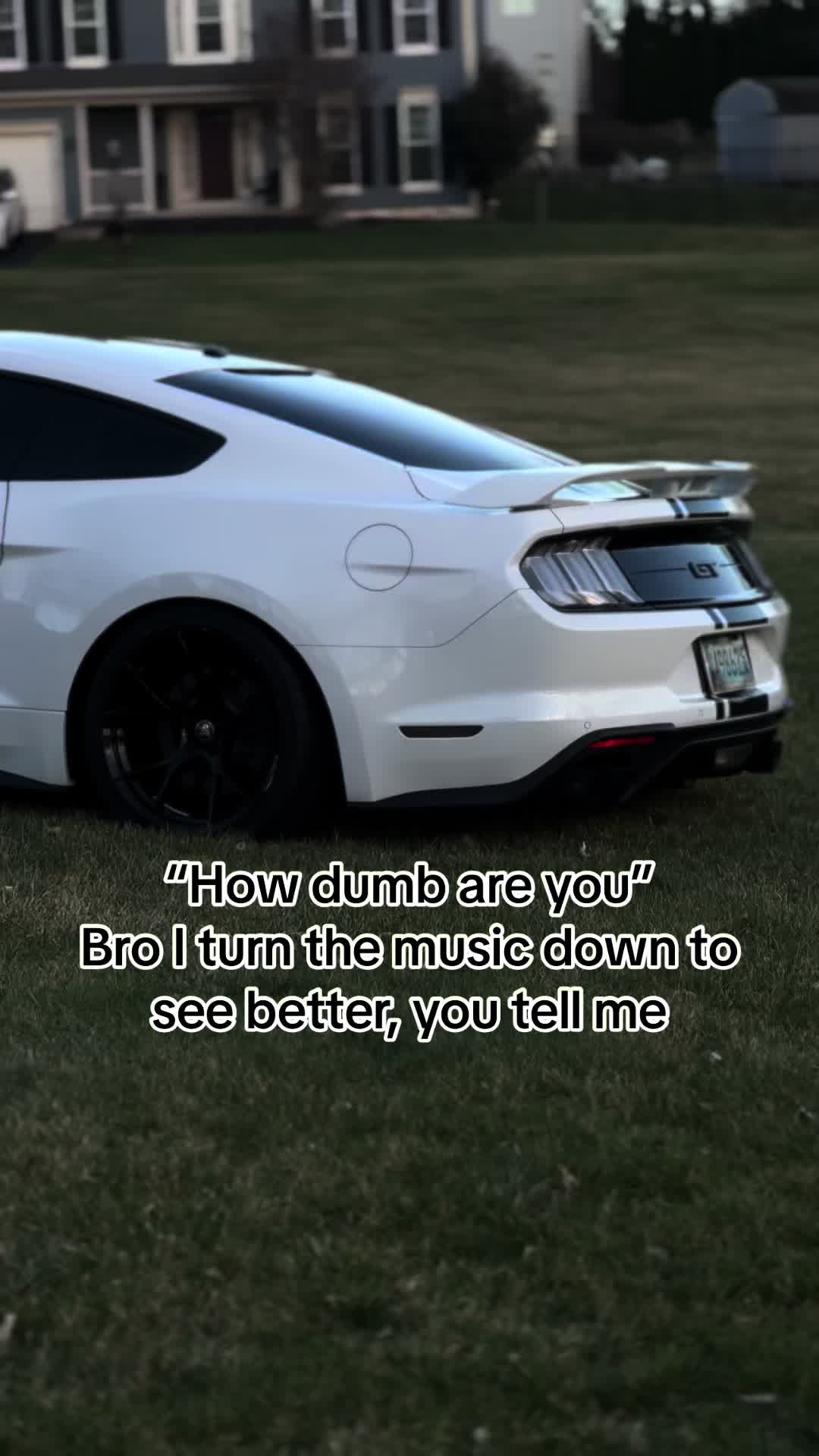 @Devon Moran