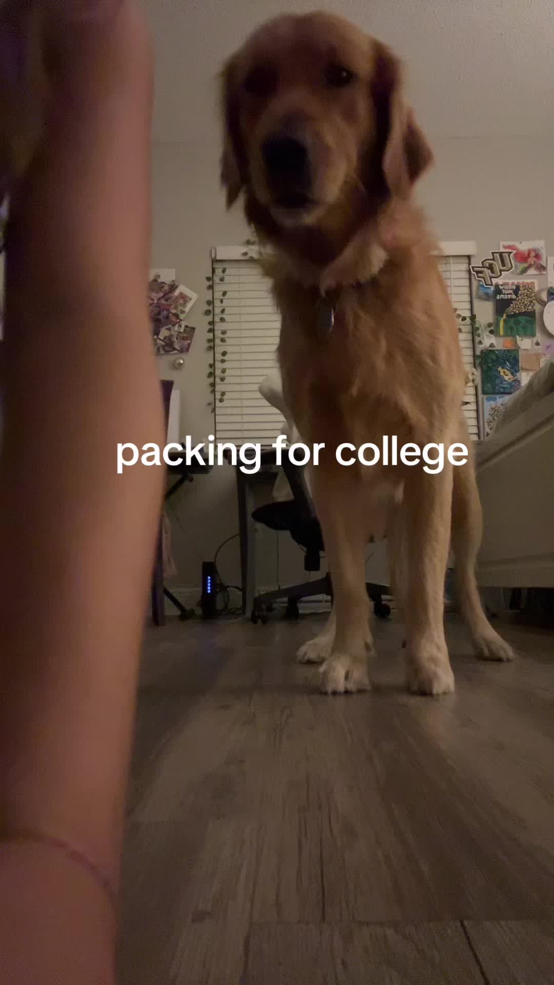 @mica 🥝