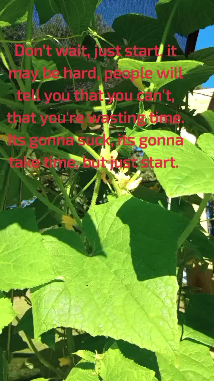 @Ashley