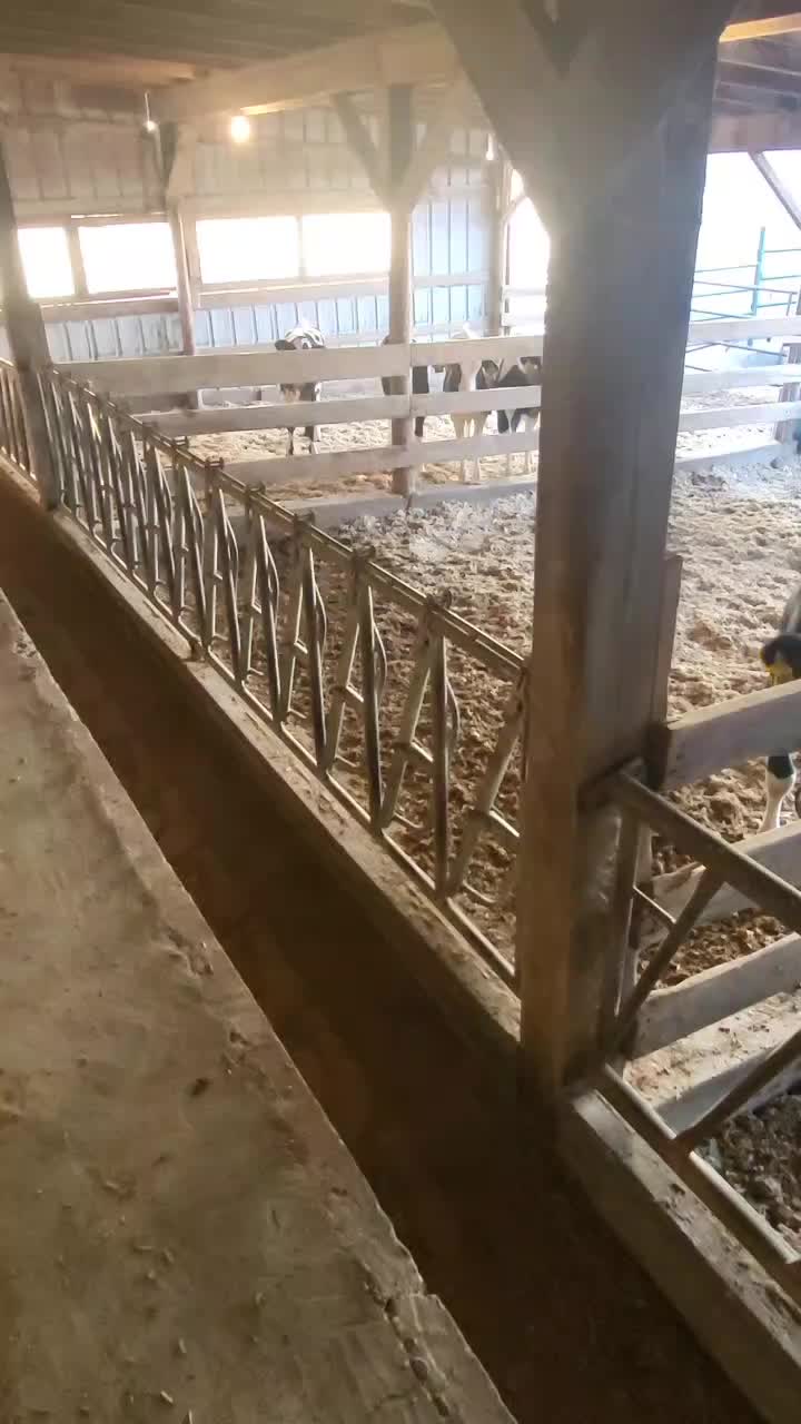 @Farmer Moo